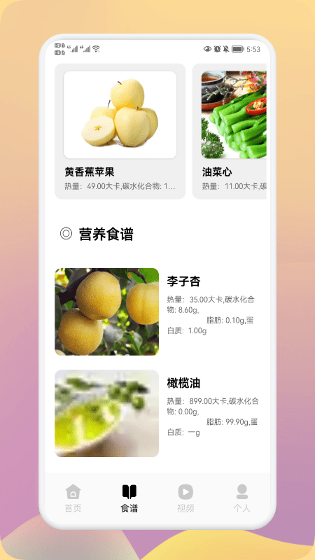 瘦身计划大师app下载