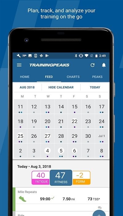 trainingpeaks下载