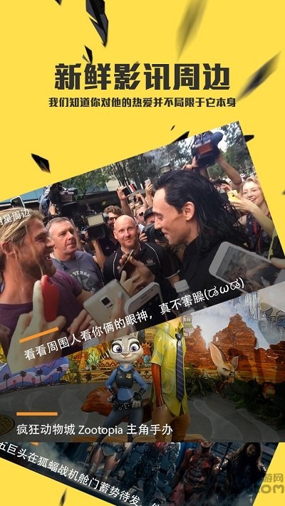 风向影视大全app下载