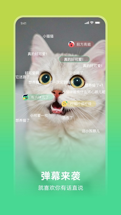 趣致app下载