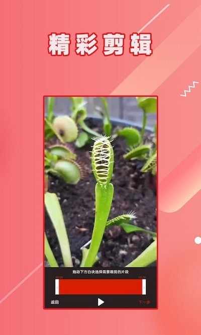 hc视频倒放app下载
