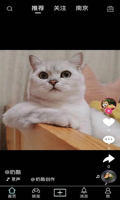 抖宠软件下载