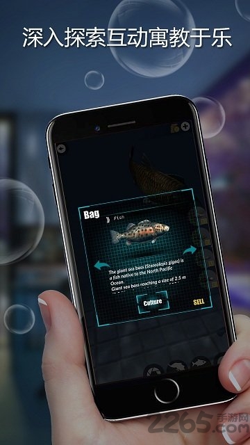 arfisher手游下载