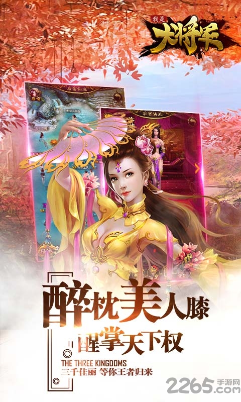 我是大将军爱游戏手机版