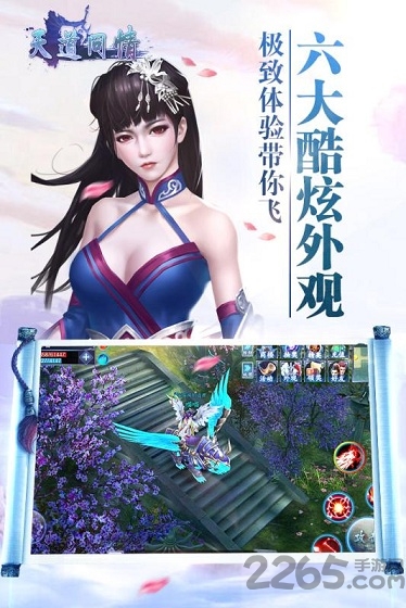 天道问情游戏下载