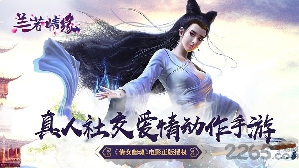 兰若情缘果盘版