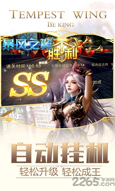 暴风之翼破解版下载