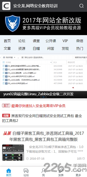 安全龙手机版