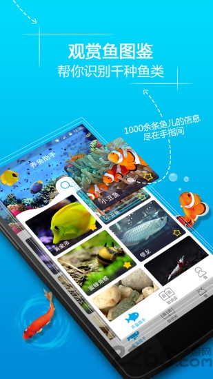 养鱼助手app下载