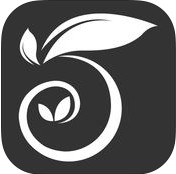 微舞app最新版拉丁 vlatin5_2.1 安卓版