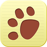 大熊作业app v2.1.1 安卓版