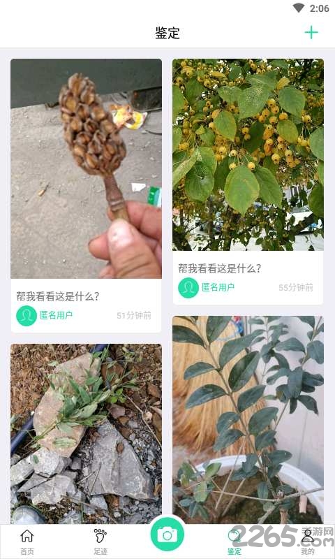 掌上植物网app