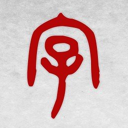 字典公公app v1.00 安卓版
