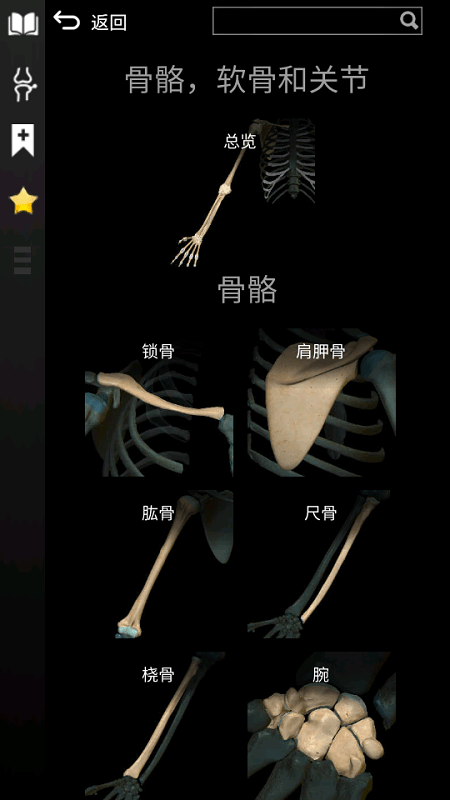 3d解剖学app免费下载