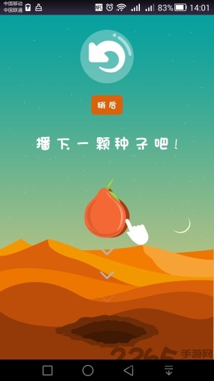 口袋树下载