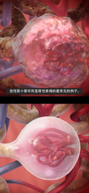 生理和病理学app 生理和病理学app安卓2021下载