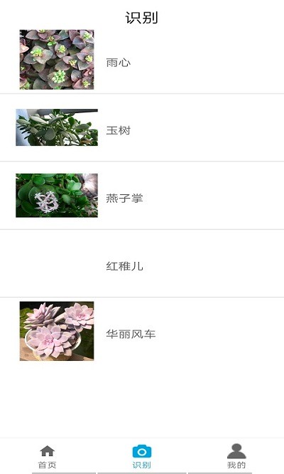 丛林宝典安卓版下载