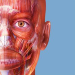 musclepremium手机版 v7.1.17 安卓版