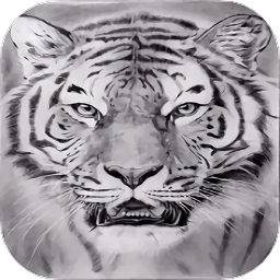 素描绘画教程app v1.1 安卓版