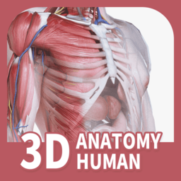 人体解剖3d软件app(改名口袋人体解剖)
