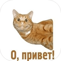 俄语助手app v1.1 安卓版