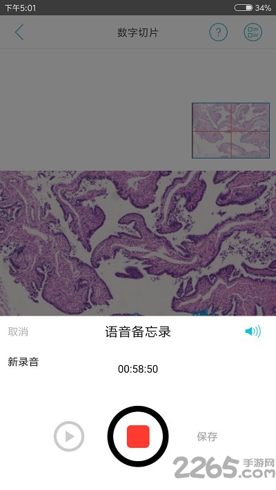 91360会诊app下载