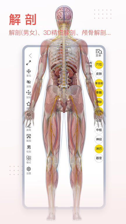 3dbody解剖图手机版下载