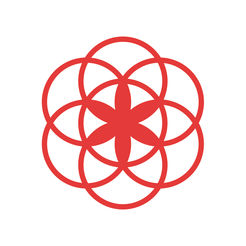 clue app v3.5.9 安卓版