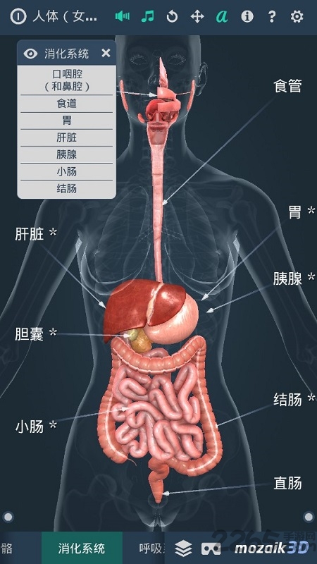 human body软件下载