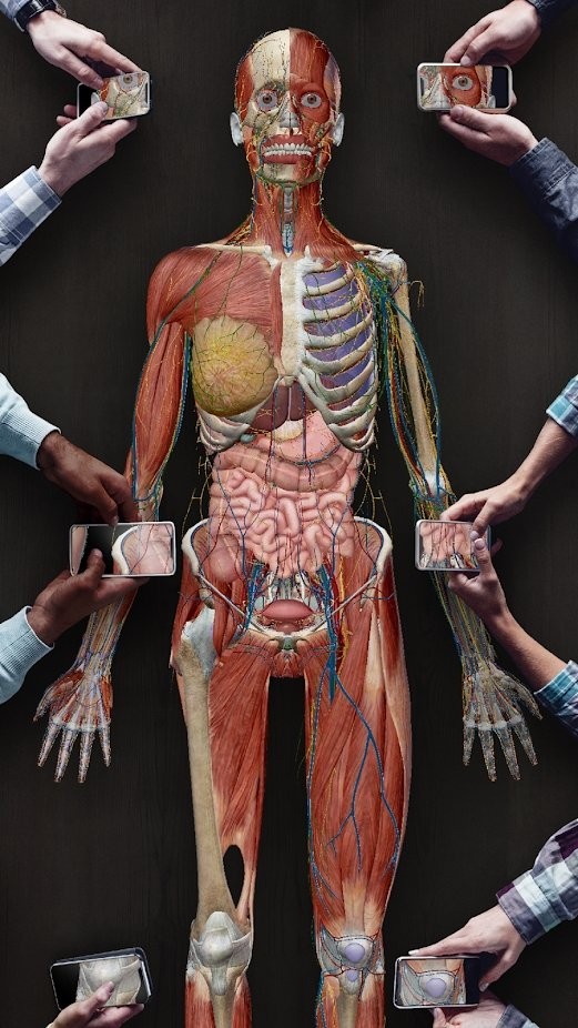 human anatomy atlas手机版下载