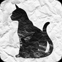 迷猫寻找母亲的旅程中文版