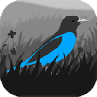 格雷兰grayland手机版 v1.1 安卓版