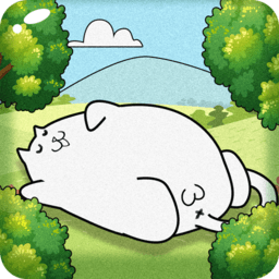 cat story手机版
