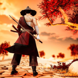 武士阴影传说游戏