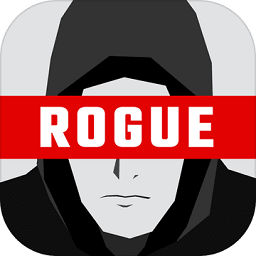 流氓黑客中文版(Rogue Hacker)(暂未上线)