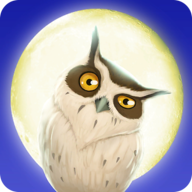 猫头鹰的午夜之旅内购破解版 v1.0 安卓无限羽毛版