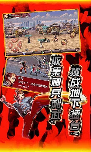 拳霸天下2之功夫之王手机版
