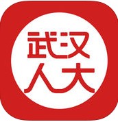 武汉人大app 安卓版