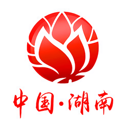 湖南政务服务网app 安卓版