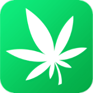 汉麻工场手机版 安卓版