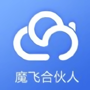 魔飞合伙人平台