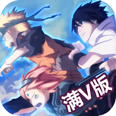 火影大师私服满v版