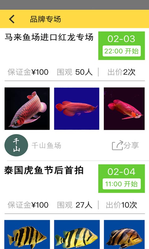 拍鱼网app