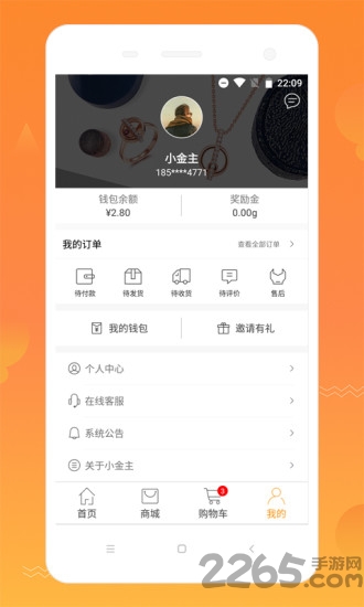 小金主官网下载
