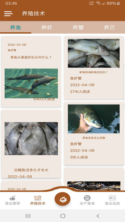 鱼虾蟹安卓版