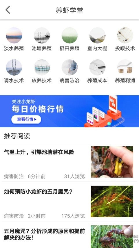 小龙虾价格网手机版
