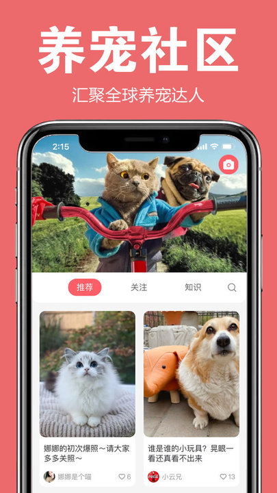 宠可爱官方