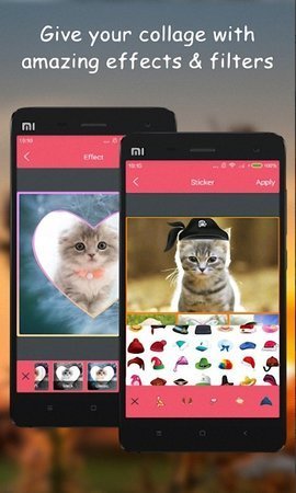西瓜海报手机app