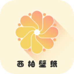 小小壁纸app